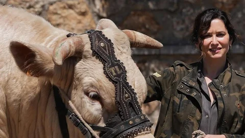 El look militar de Isabel Díaz Ayuso.