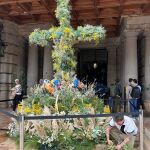 Más de cien plantas de orquídeas para la Cruz de Mayo del Ayuntamiento de Valencia