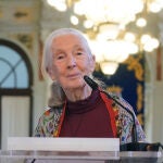 La doctora Jane Goodall presenta la conferencia "Esperanza en acción", hoy en el Salón de Espejos del Ayuntamiento de Málaga