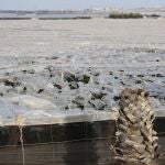 Daños en los invernaderos de Almería