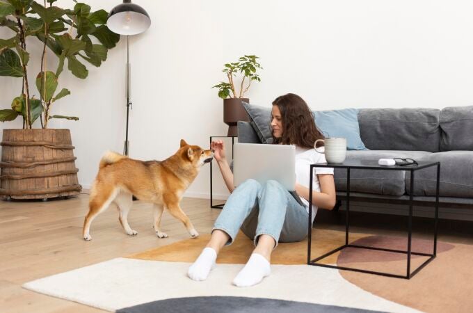 ¿Se puede prohibir que tengas una mascota en casa? Esto responden los abogados