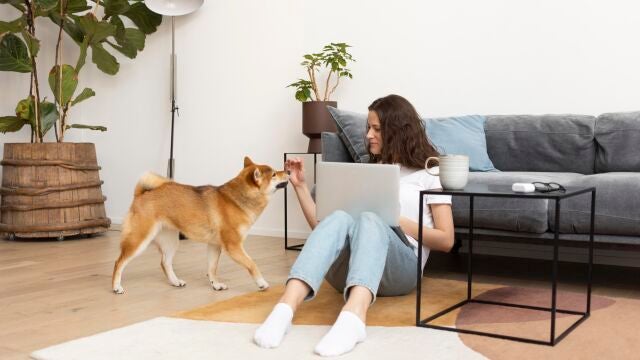 ¿Se puede prohibir que tengas una mascota en casa? Esto responden los abogados