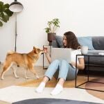 ¿Se puede prohibir que tengas una mascota en casa? Esto responden los abogados