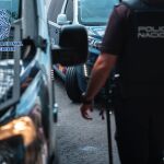 Sucesos.- Detenido un joven en Palma por difundir imágenes de carácter sexual de su expareja