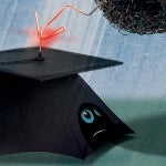 Universidades e ideologías castigadas: Harvard