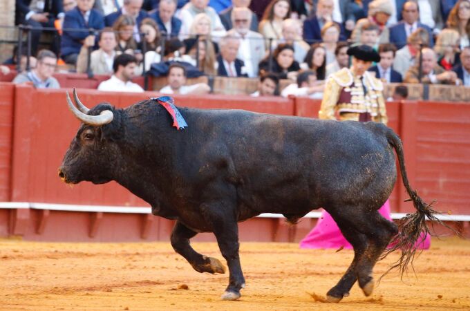 Por qué el toro "Mosquetón" de Victorino Martín mereció la vuelta al ruedo en Sevilla (y qué significa)