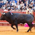 Por qué el toro "Mosquetón" de Victorino Martín mereció la vuelta al ruedo en Sevilla (y qué significa)