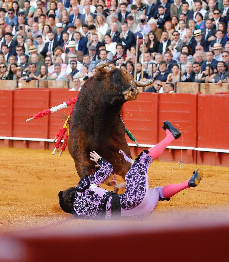 Cogida de Javier Ambel