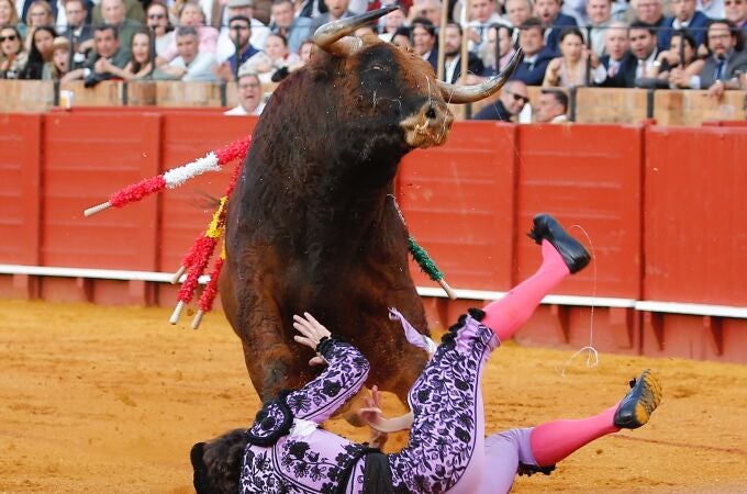 Cogida de Javier Ambel
