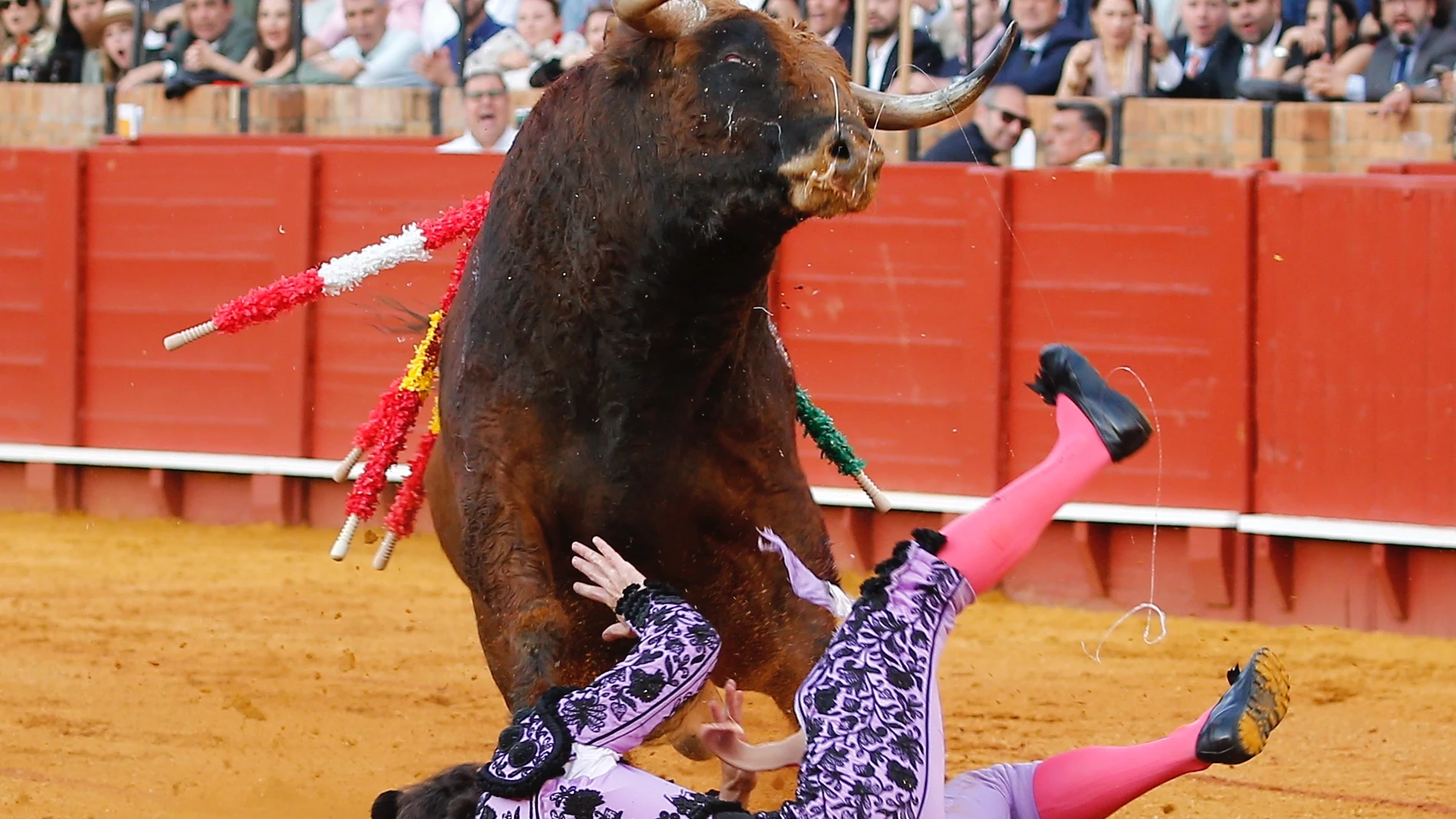 Cogida de Javier Ambel