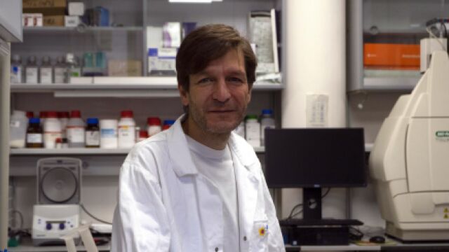 El doctor David Santamaría, investigador principal del Centro de Investigación del Cáncer (CSIC-Universidad de Salamanca-FICUS)