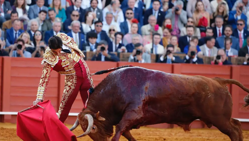 El diestro Miguel Ángel Perera