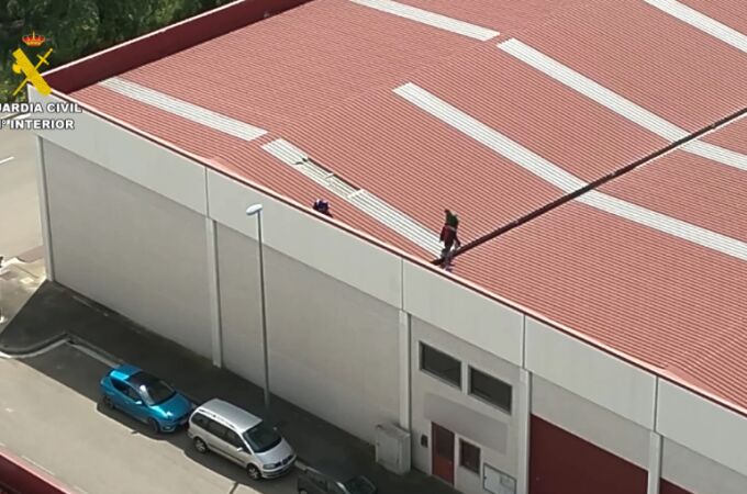 Desmantelamiento de cultivo de marihuana en Cadrete, Zaragoza