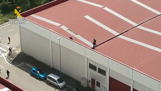 Desmantelamiento de cultivo de marihuana en Cadrete, Zaragoza
