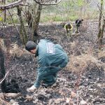 Condenado a seis meses de prisión por causar un incendio con tres focos en Los Machucos, en Arredondo (Cantabria)