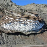 El permafrost siberiano escondía un gusano que puede tener la clave de los misterios de la genética