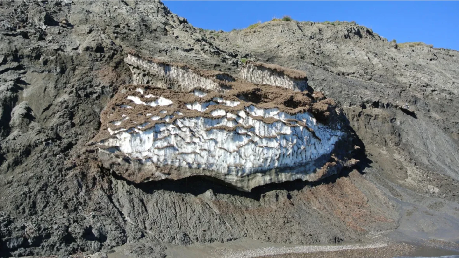 El permafrost siberiano escondía un gusano que puede tener la clave de los misterios de la genética