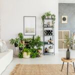 La peor planta que puedes tener en casa según el Feng Shui: se lleva todas las energías