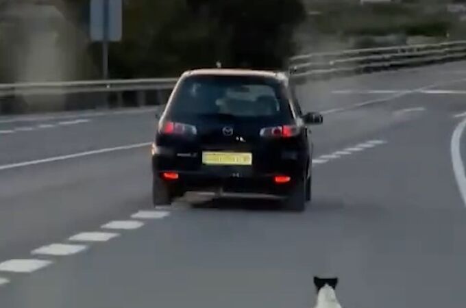 El perro persiguiendo al coche que lo abandonó