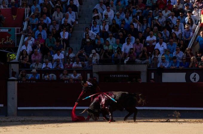 Toros en Las Ventas.