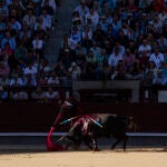 Toros en Las Ventas.