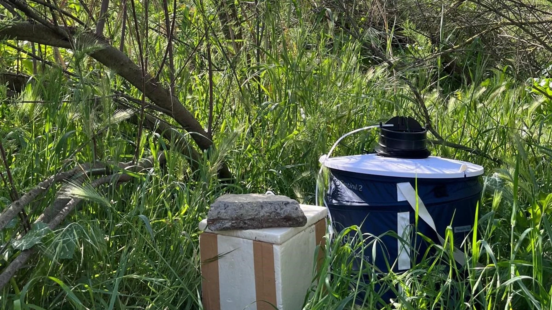 Imagen de una trampa instalada contra el mosquito del Virus del Nilo occidental (VNO).REMITIDA / HANDOUT por Junta de AndalucíaFotografía remitida a medios de comunicación exclusivamente para ilustrar la noticia a la que hace referencia la imagen, y citando la procedencia de la imagen en la firma07/05/2025