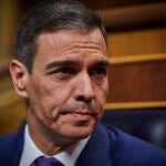 Comparecencia del presidente del Gobierno, Pedro Sánchez para informar sobre las medidas que el Ejecutivo va a