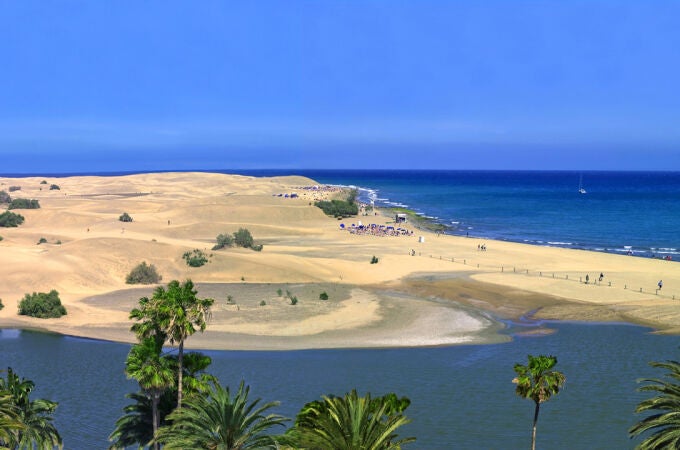 Canarias pierde 9 Banderas Azules en 2025: descubre las 47 playas que aún mantienen el distintivo