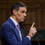 Comparecencia del presidente del Gobierno, Pedro Sánchez para informar sobre las medidas que el Ejecutivo va a