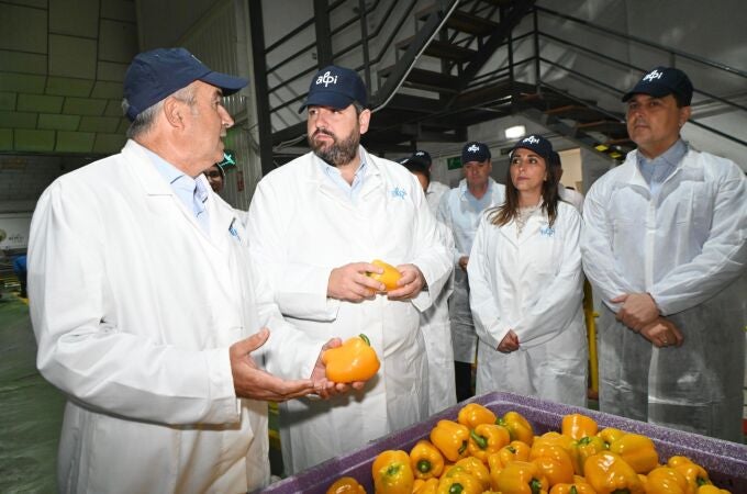 López Miras sujeta un pimiento amarillo murciano en San Javier