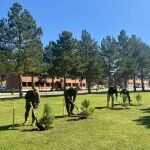 Plantación de árboles en la Base burgalesa Cid Campeador