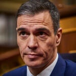 Comparecencia del presidente del Gobierno, Pedro Sánchez para informar sobre las medidas que el Ejecutivo va a