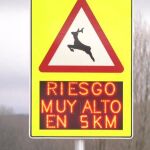 Una señal de riesgo de animales en las carreteras de Castilla y León