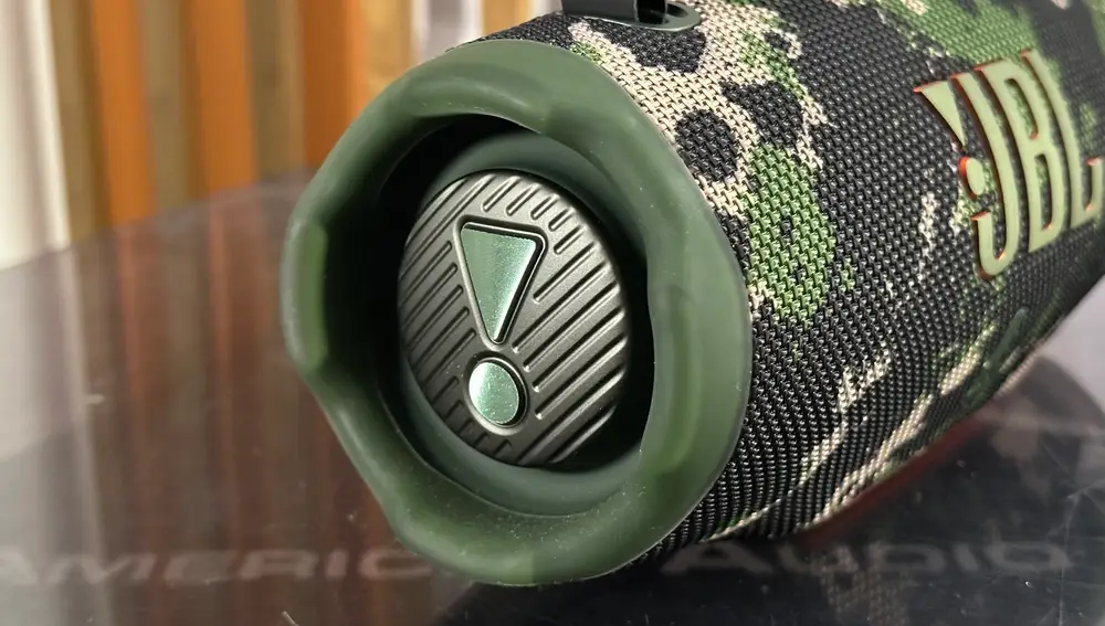 Detalle del color del remate del altavoz