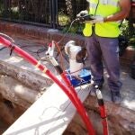 Vecinos de Albolote se quedaron unas ocho horas sin luz por una avería cuya reparación afectó a una tubería