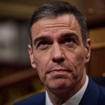 El presidente del Gobierno, Pedro Sánchez, en el Congreso