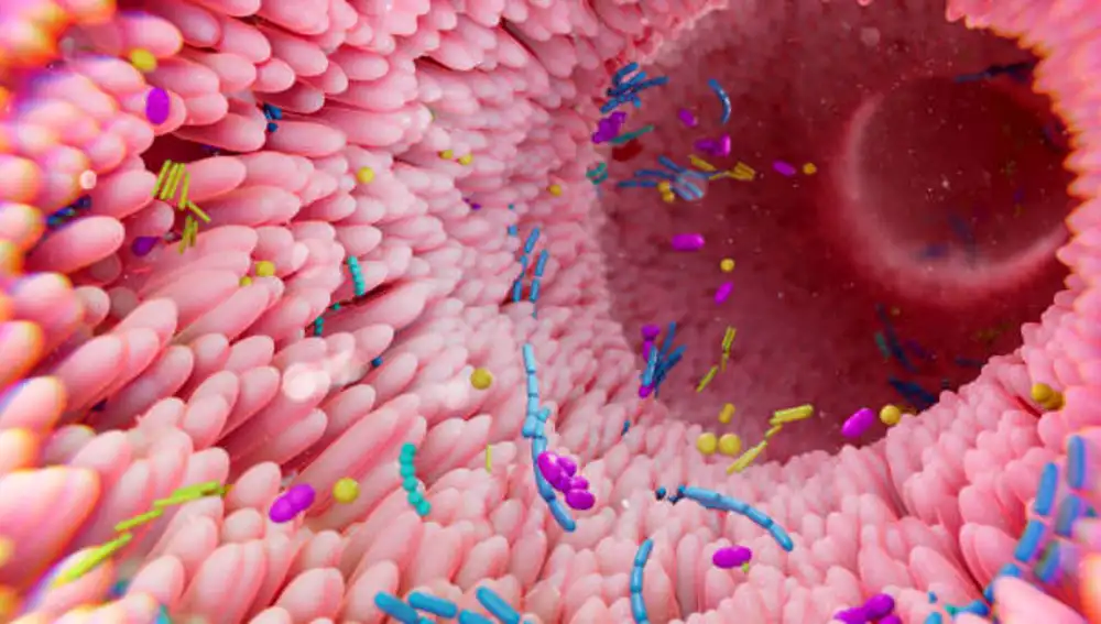 Microbiota