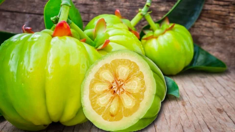 Los mejores suplementos de Garcinia Cambogia: apoyo natural para el control del apetito y la quema de grasa
