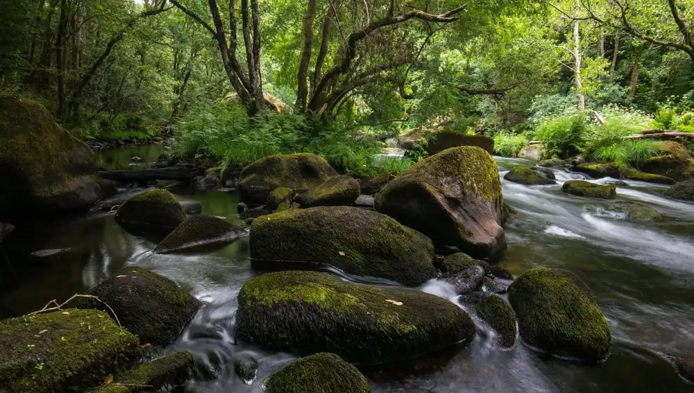 Reserva de la Biosfera en A Coruña