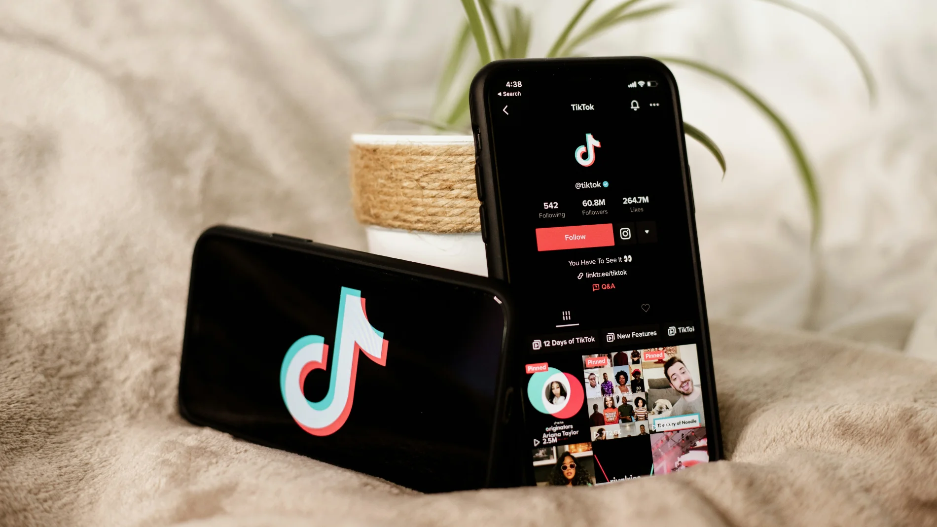 La app móvil de TikTok, una de las redes sociales más populares de la actualidad