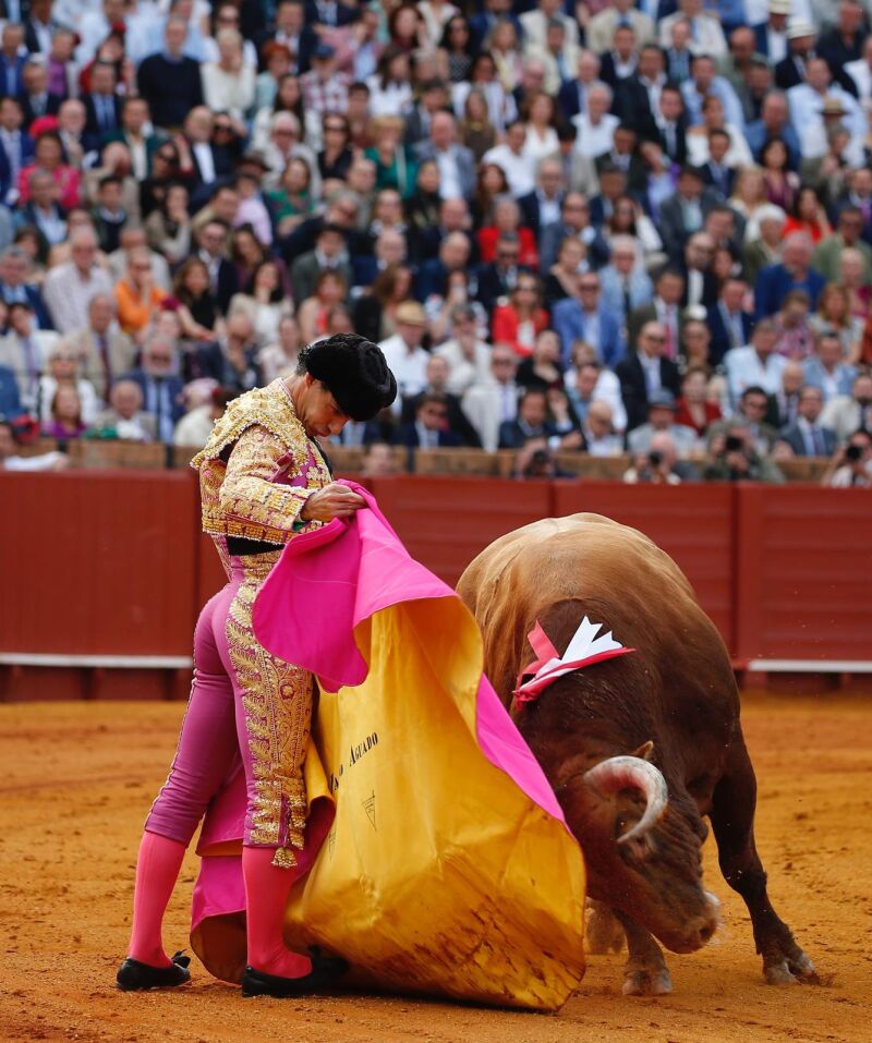 Aguado, con la capa hoy en Sevilla