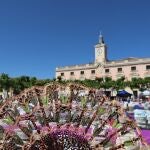 Alcalá de Henares acoge hoy el VIII Encuentro de Encajeras de Bolillos 