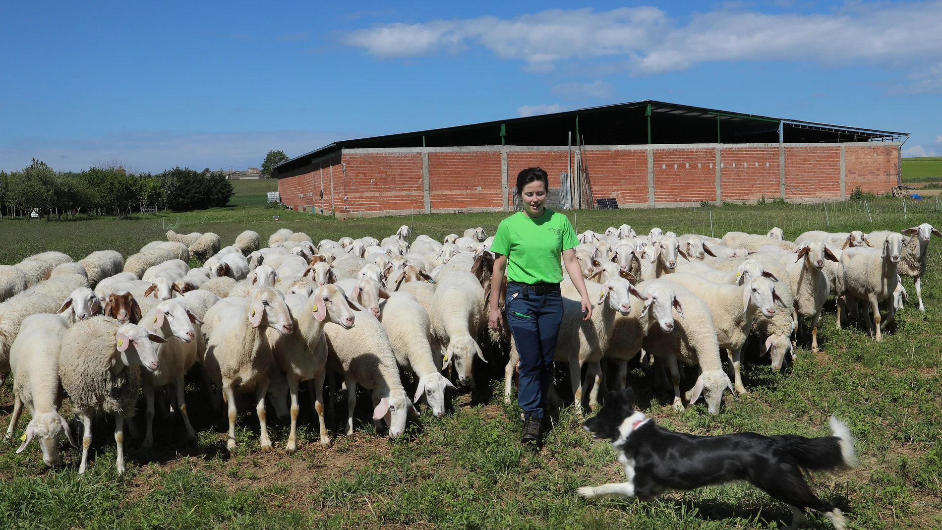 La pastora Nerea del Ríó en su pueblo de Robladillo de Ucieza