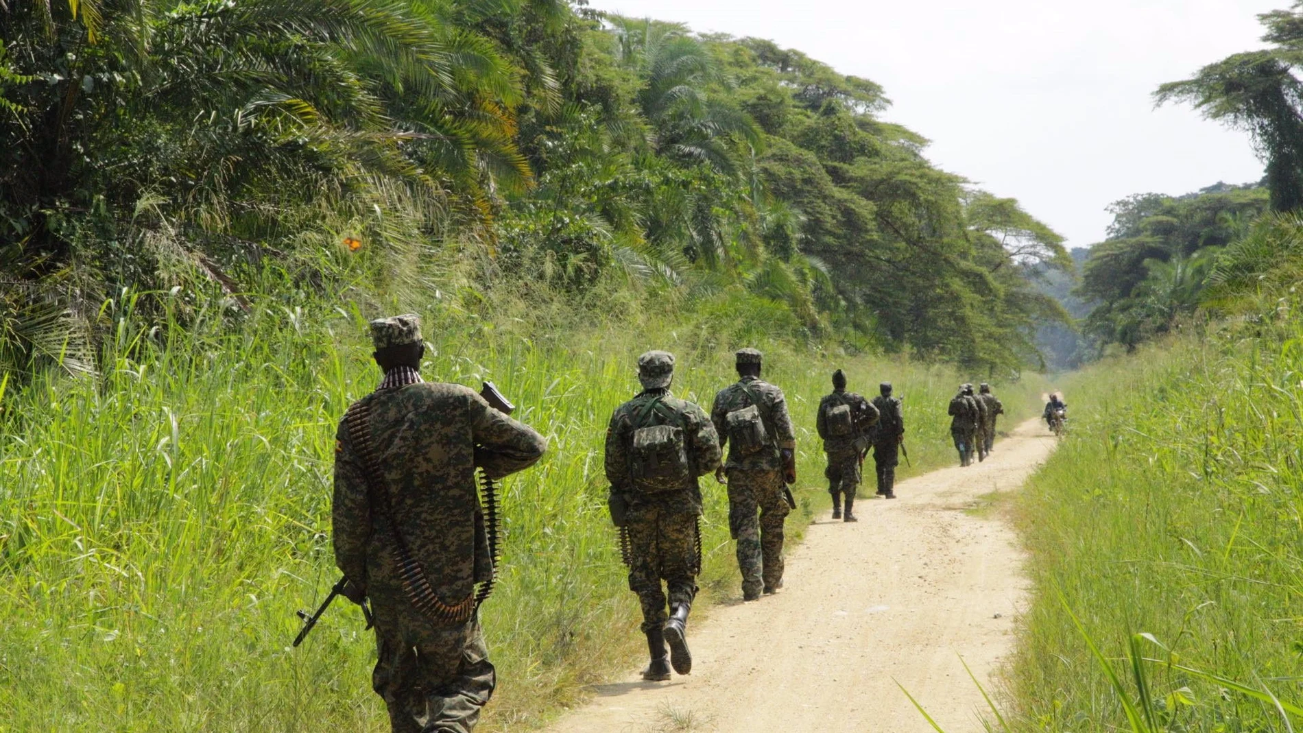 RDCongo.- AMP.- Ejecutados más de 30 civiles en una ola de ataques de las milicias ADF en el este de RDC