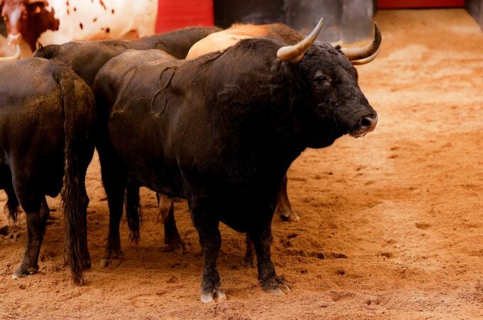 "Tamboril", nº 28