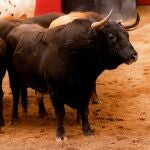 "Tamboril", nº 28