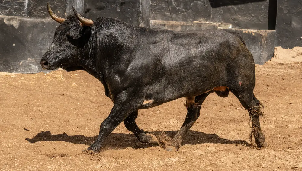 "Panadero", nº 64
