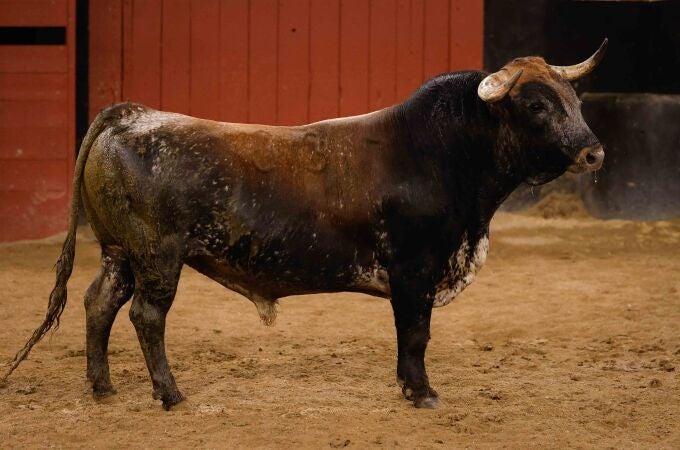 "Tahonero", nº 33