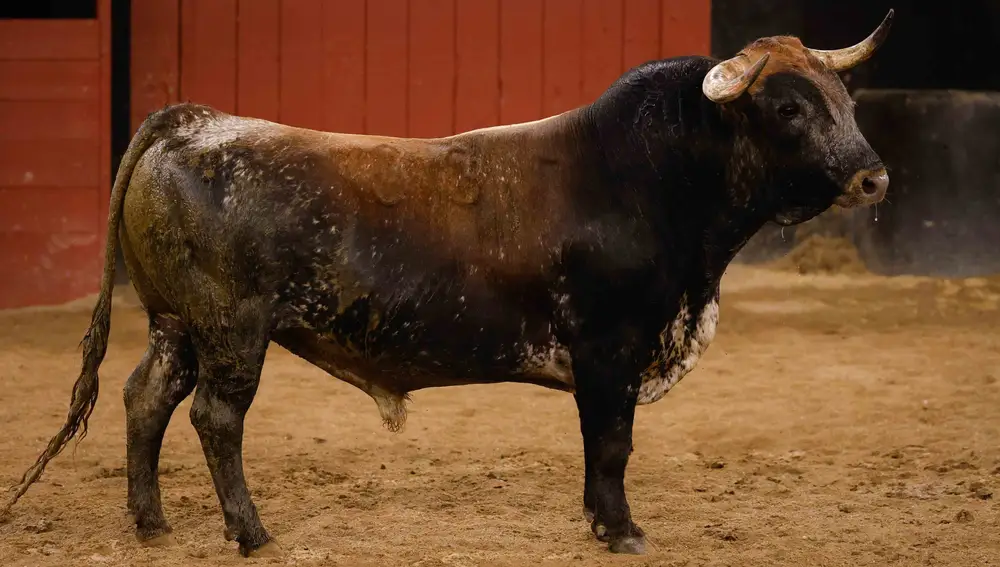 "Tahonero", nº 33