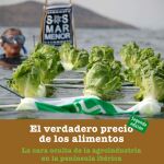 Imagen del informe en el que se basa la exposición retirada del Parlamento Europeo